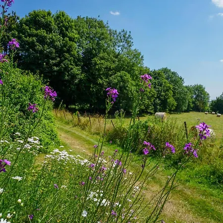 Holiday home A La Ferme, 2 Chambres, Wi-fi, Proche Auxi-le-chateau - Fr-1-376-28 Wavans